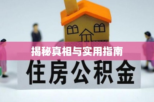 松北揭秘真相与实用指南