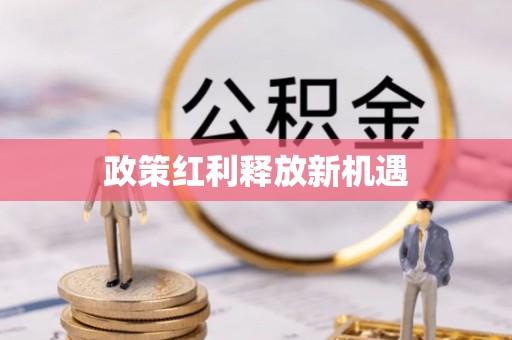 松北政策红利释放新机遇