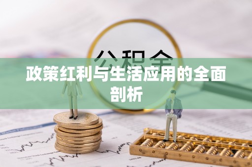 松北政策红利与生活应用的全面剖析