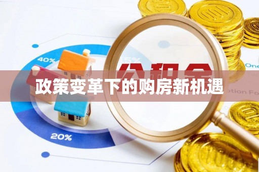 松北政策变革下的购房新机遇
