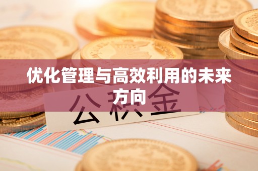 松北优化管理与高效利用的未来方向