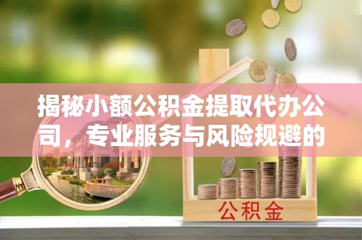 松北揭秘小额公积金提取代办公司，专业服务与风险规避的平衡艺术