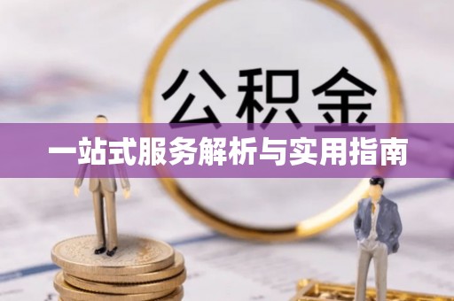 松北一站式服务解析与实用指南