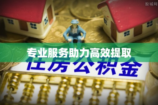 松北专业服务助力高效提取
