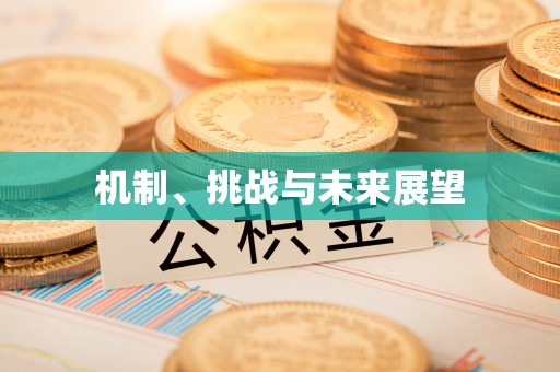 松北机制、挑战与未来展望